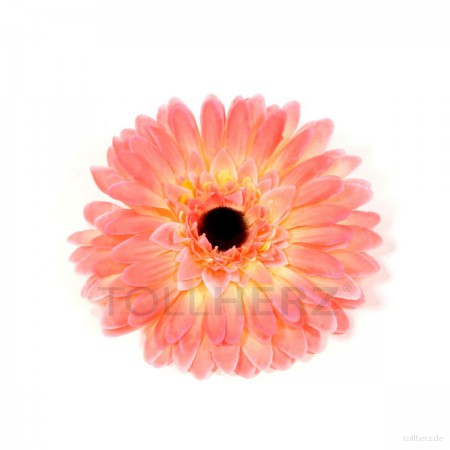 AB-112 Ansteckblume, Haarblume Gerbera in apricot, Ø ca. 12,5 cm, Höhe ca. 3 cm