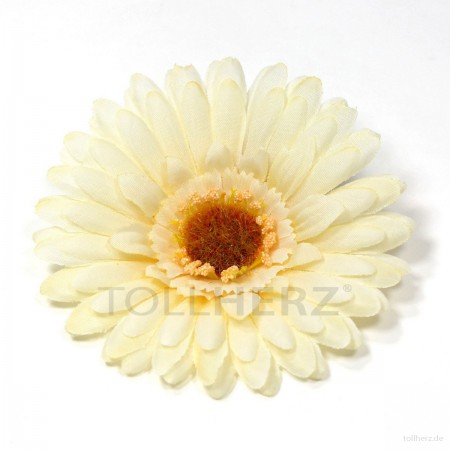AB-129 Ansteckblume, Haarblume Gerbera in cremeweiß, Ø ca. 12 cm, Höhe ca. 3 cm