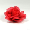 AB-148 Haarrose, Ansteckrose in rot, Ø 9 cm, Höhe ca. 4 cm