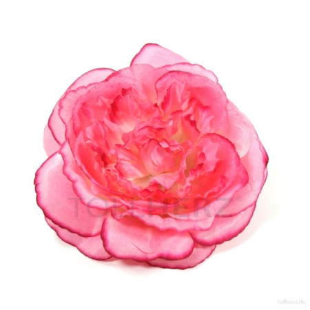 AB-166 Haarrose, Ansteckrose in pink-weiß, Ø 12 cm, Höhe ca. 4,5 cm