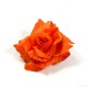 AB-207 Haarrose, Ansteckrose in orange, Ø 10,5 cm, Höhe ca. 4,5 cm