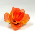 AB-259 Haarrose, Ansteckrose in orange-apricot, Ø 9 cm, Höhe ca. 4 cm