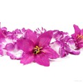 HK-304 Hawaiikette, Blumenkette mit XXL-Blüten in violett